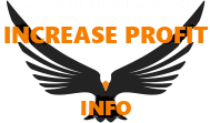 increaseprofit.info
